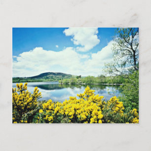 Camlough Lough County Down, Ireland bloemen Briefkaart