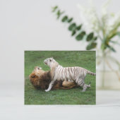 CamNzabu006 Briefkaart (Staand voorkant)