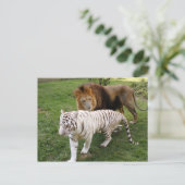 CamNzabu030 Briefkaart (Staand voorkant)