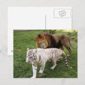 CamNzabu030 Briefkaart (Voorkant / Achterkant)