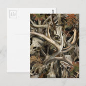 Camo Deer Skulls Briefkaart (Voorkant / Achterkant)
