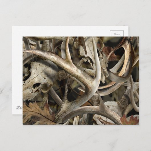 Camo Deer Skulls Briefkaart (Voorkant / Achterkant)