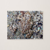 Camoflouge Frog Toad Amfibian Legpuzzel (Horizontaal)