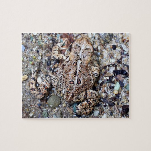 Camoflouge Frog Toad Amfibian Legpuzzel (Horizontaal)