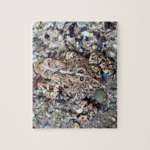 Camoflouge Frog Toad Amfibian Legpuzzel
