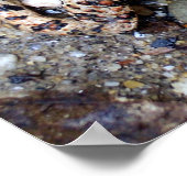 Camoflouge Toad Poster (Hoek)