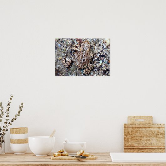 Camoflouge Toad Poster (Keuken)