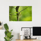 Camouflaed Common Green Darner Dragonfly Poster (Thuiskantoor)