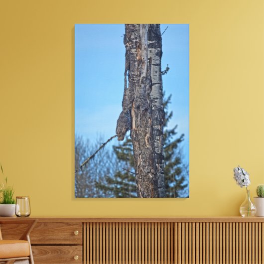 Camouflaed Great Grey Owl and Tree Wildlife Foto Canvas Afdruk (Insitu (Woonkamer))