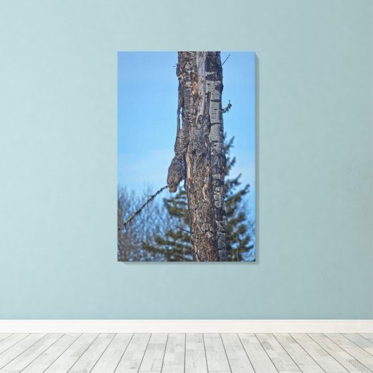Camouflaed Great Grey Owl and Tree Wildlife Foto Canvas Afdruk (Insitu (Houten vloer))
