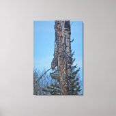 Camouflaed Great Grey Owl and Tree Wildlife Foto Canvas Afdruk (Voorkant)