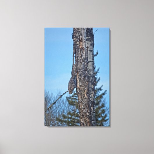 Camouflaed Great Grey Owl and Tree Wildlife Foto Canvas Afdruk (Voorkant)