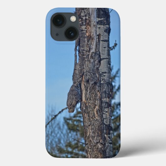 Camouflaed Great Grey Owl and Tree Wildlife Foto Case-Mate iPhone Case (Achterkant)