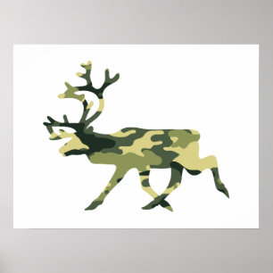 Camouflage in het Caribisch gebied / Camouflage Poster
