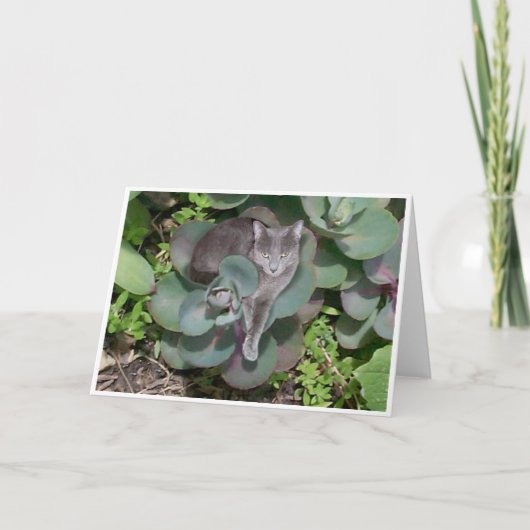 Camouflage Kaart (Voorkant)