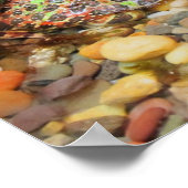 Camouflage Kikker Poster (Hoek)