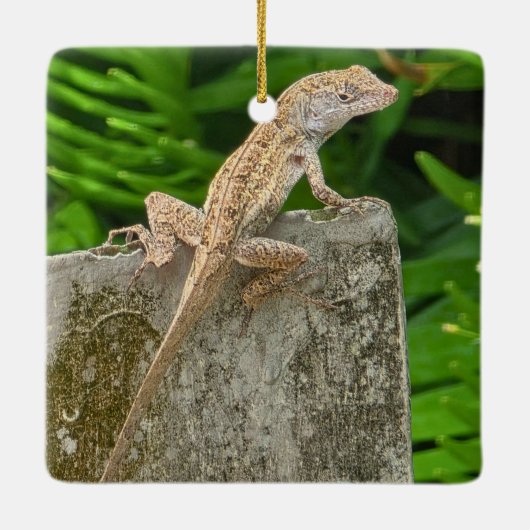 Camouflage Master Keramisch Ornament (Achterkant)