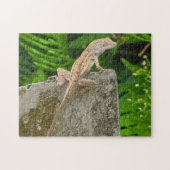 Camouflage Master Legpuzzel (Horizontaal)