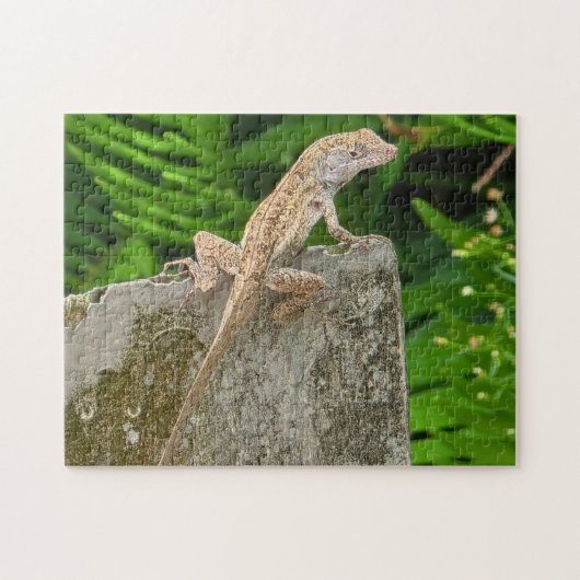 Camouflage Master Legpuzzel (Horizontaal)