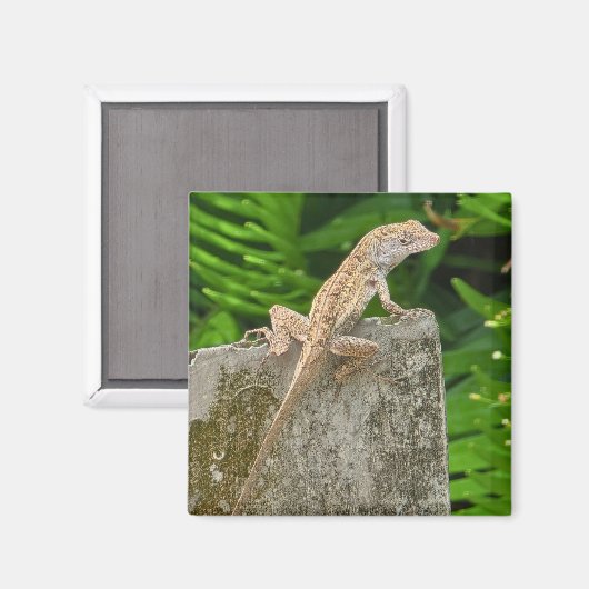 Camouflage Master Magneet (Voorkant / Achterkant)