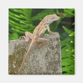 Camouflage Master Magneet