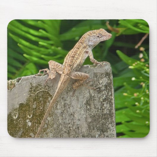 Camouflage Master Muismat (Voorkant)