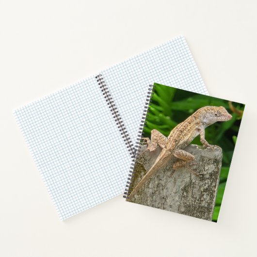 Camouflage Master Notitieboek (Binnen)