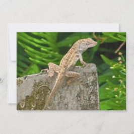 Camouflage Master Notitiekaartje