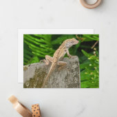 Camouflage Master Notitiekaartje (Voorkant / Achterkant in situ)