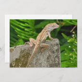 Camouflage Master Notitiekaartje (Voorkant / Achterkant)