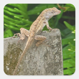 Camouflage Master Vierkante Sticker