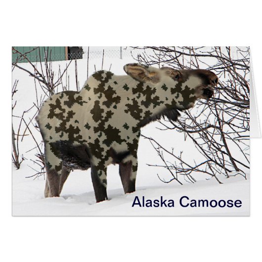 Camouflage Moose (Voorkant Horizontaal)