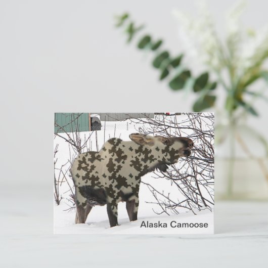 Camouflage Moose Briefkaart (Staand voorkant)