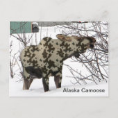 Camouflage Moose Briefkaart (Voorkant)