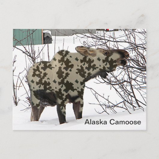 Camouflage Moose Briefkaart (Voorkant)