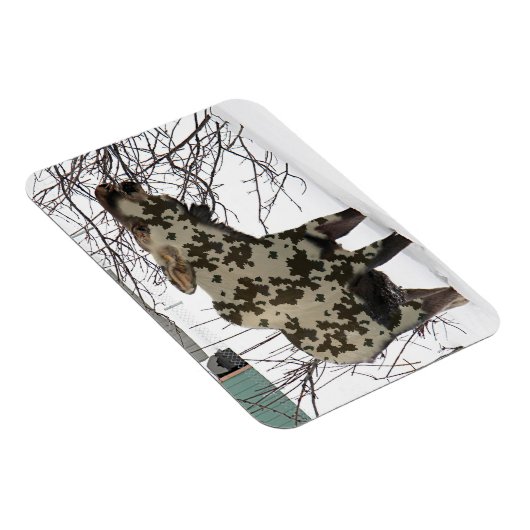 Camouflage Moose Magneet (Rechterzijde)