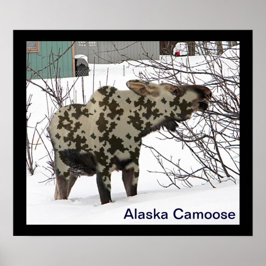 Camouflage Moose Poster (Voorkant)