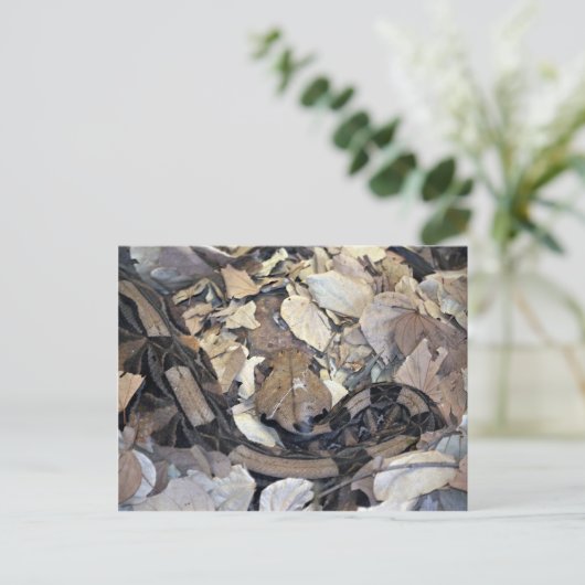 Camouflage-slang Briefkaart (Staand voorkant)