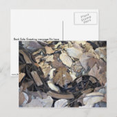 Camouflage-slang Briefkaart (Voorkant / Achterkant)