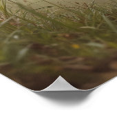 Camouflage, Tennisbal en Tactische Poten Poster (Hoek)