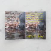 Camouflage werkt toch niet kaart (Binnen)