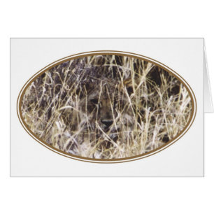 Camouflaged Simba (Lion)