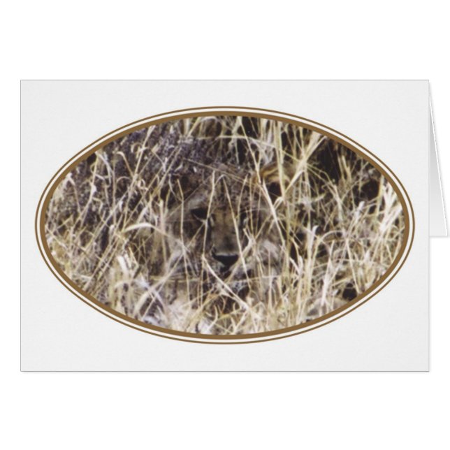 Camouflaged Simba (Lion) (Voorkant Horizontaal)