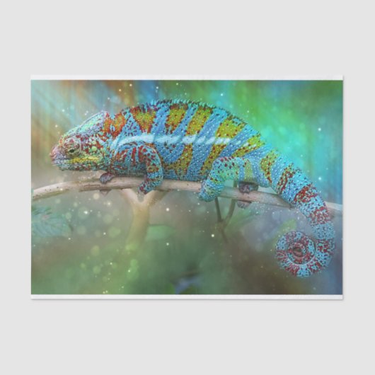 camouflagehagedis tissuepapier (Voorkant)