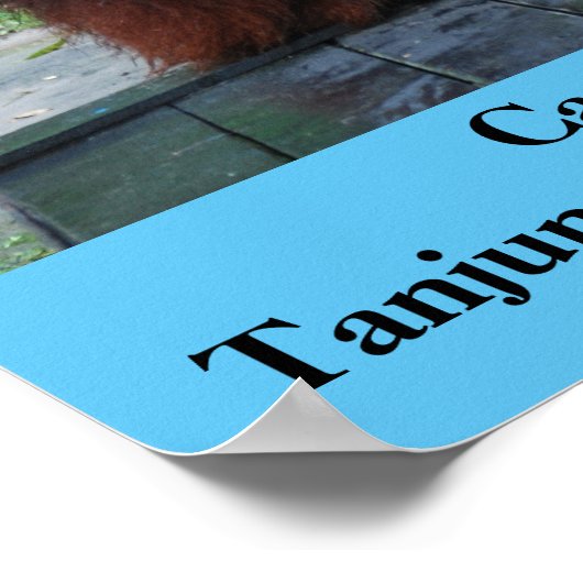 Camp Leakey Tanjung Nationaal Park Borneo Poster (Hoek)