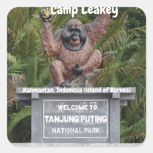 Camp Leakey Tanjung Puting National Park Vierkante Sticker (Voorkant)