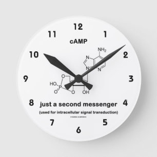 cAMP Molecule is slechts een tweede Messenger Ronde Klok
