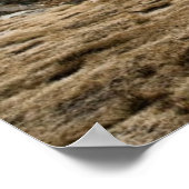 Camp Rae Lakes Poster (Hoek)