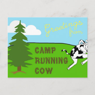 Camp Running Cow - Postcard Briefkaart