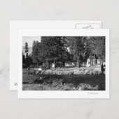 Camp Sherman, uitzicht Oregon van Rogers Cabins Briefkaart (Voorkant / Achterkant)